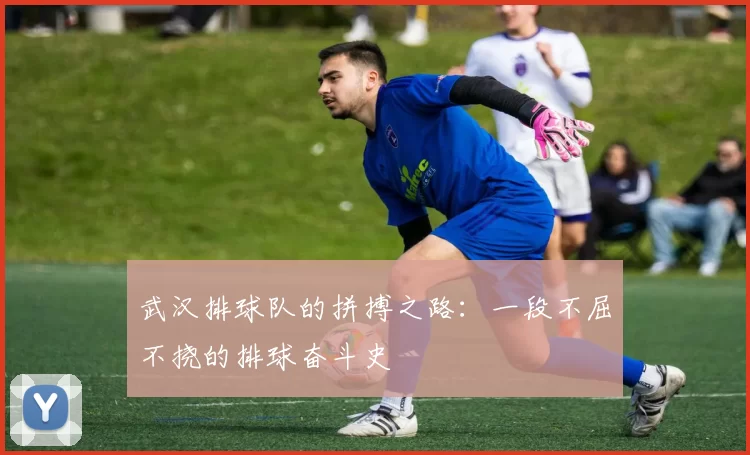 武汉排球队的拼搏之路：一段不屈不挠的排球奋斗史