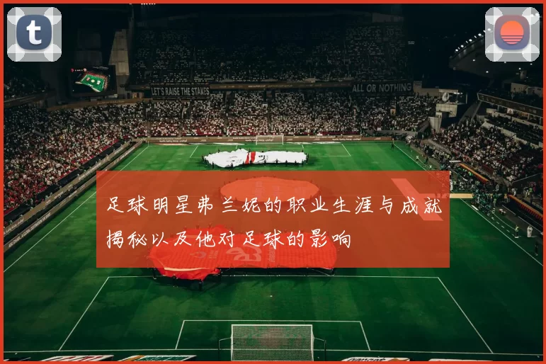 足球明星弗兰妮的职业生涯与成就揭秘以及他对足球的影响