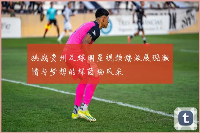 挑战贵州足球明星视频播放展现激情与梦想的绿茵场风采