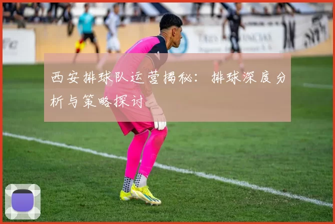 西安排球队运营揭秘：排球深度分析与策略探讨