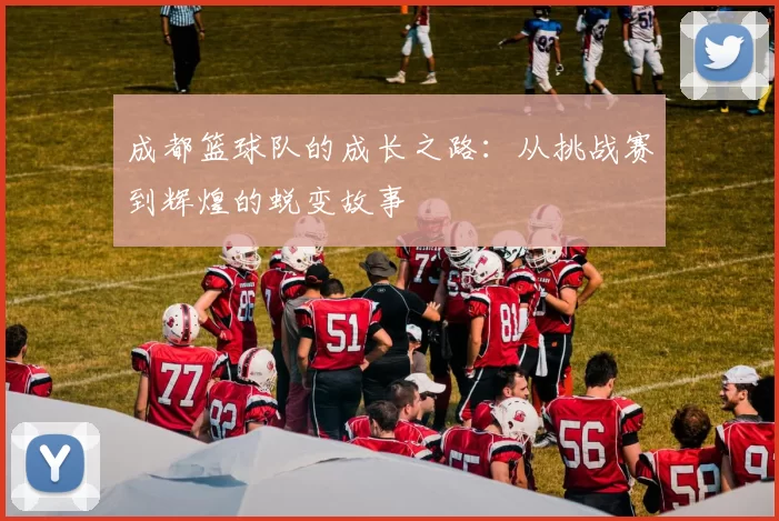 成都篮球队的成长之路：从挑战赛到辉煌的蜕变故事