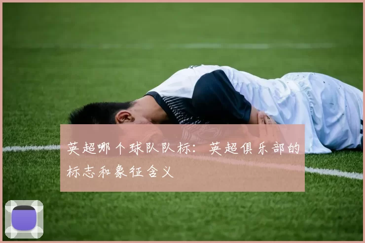 英超哪个球队队标：英超俱乐部的标志和象征含义