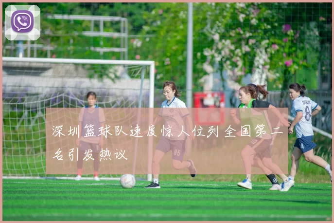 深圳篮球队速度惊人位列全国第二名引发热议