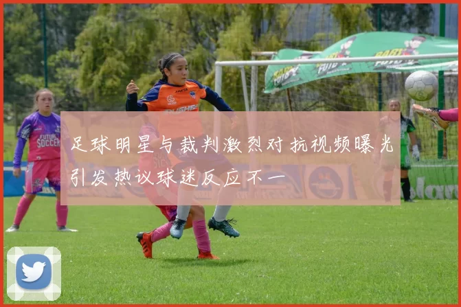 足球明星与裁判激烈对抗视频曝光引发热议球迷反应不一