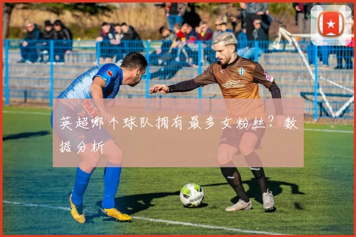 英超哪个球队拥有最多女粉丝？数据分析