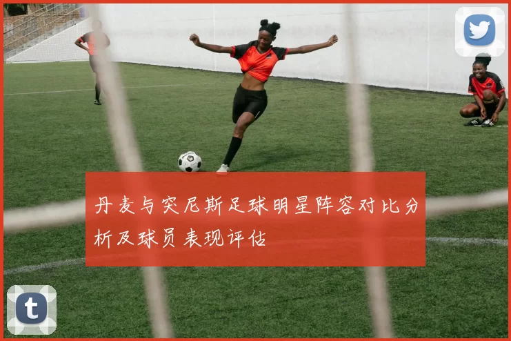 丹麦与突尼斯足球明星阵容对比分析及球员表现评估