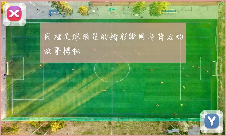同框足球明星的精彩瞬间与背后的故事揭秘