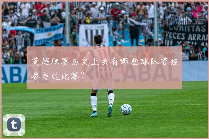 英超联赛历史上共有哪些球队曾经参与过比赛？