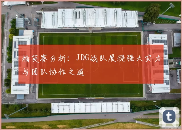 精英赛分析：JDG战队展现强大实力与团队协作之道