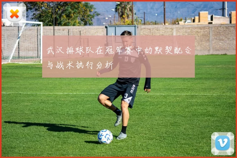 武汉排球队在冠军赛中的默契配合与战术执行分析