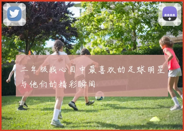 二年级我心目中最喜欢的足球明星与他们的精彩瞬间