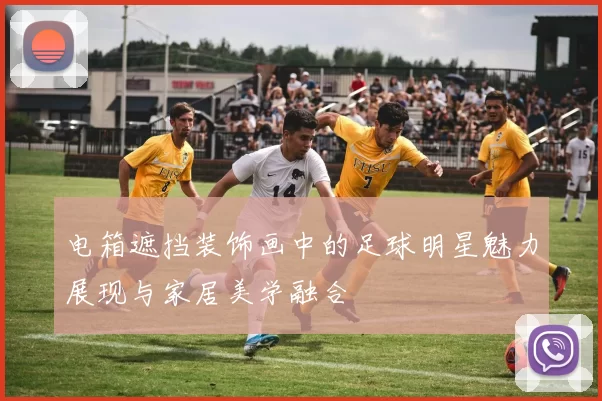 电箱遮挡装饰画中的足球明星魅力展现与家居美学融合