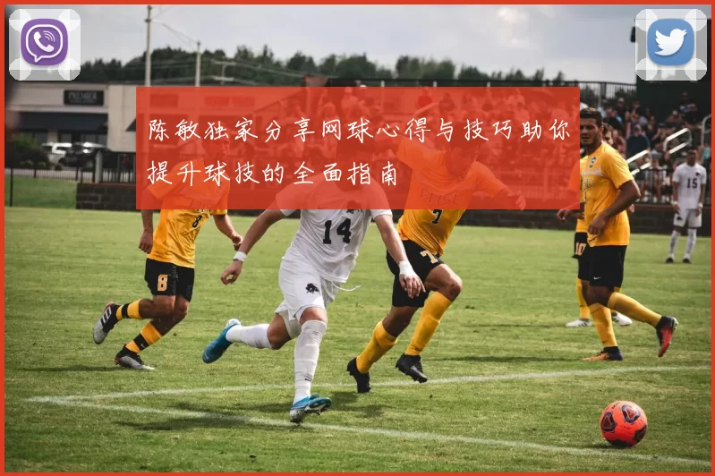 陈敏独家分享网球心得与技巧助你提升球技的全面指南
