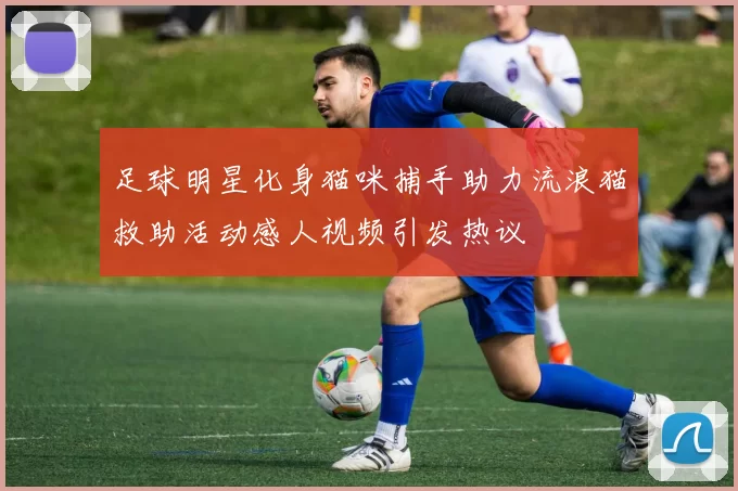 足球明星化身猫咪捕手助力流浪猫救助活动感人视频引发热议