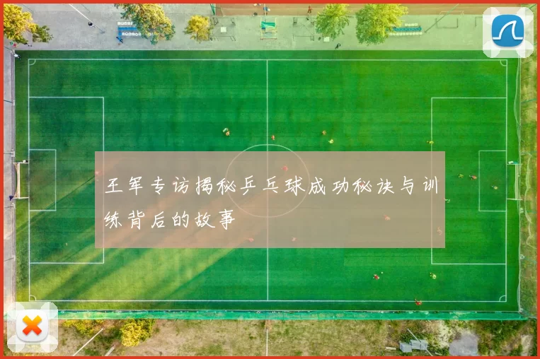 王军专访揭秘乒乓球成功秘诀与训练背后的故事