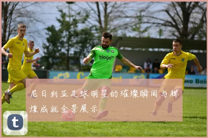 尼日利亚足球明星的璀璨瞬间与辉煌成就全景展示