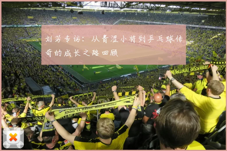 刘芳专访：从青涩小将到乒乓球传奇的成长之路回顾