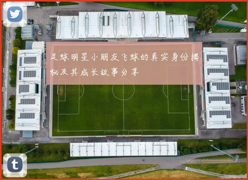 足球明星小朋友飞球的真实身份揭秘及其成长故事分享