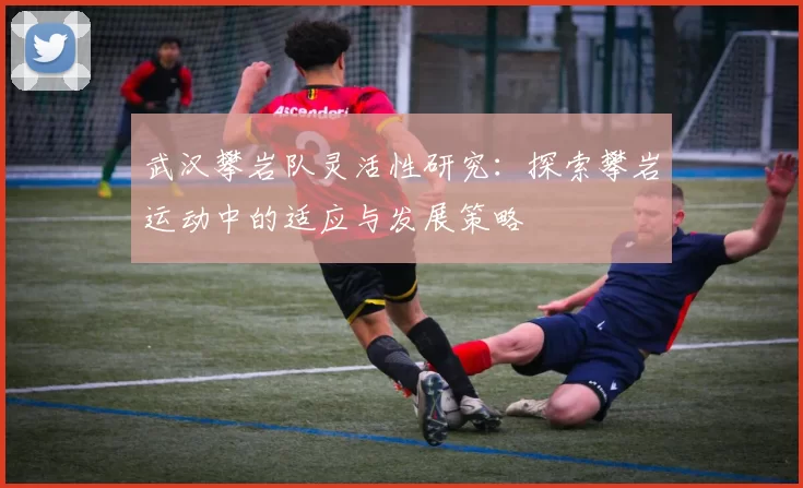 武汉攀岩队灵活性研究：探索攀岩运动中的适应与发展策略