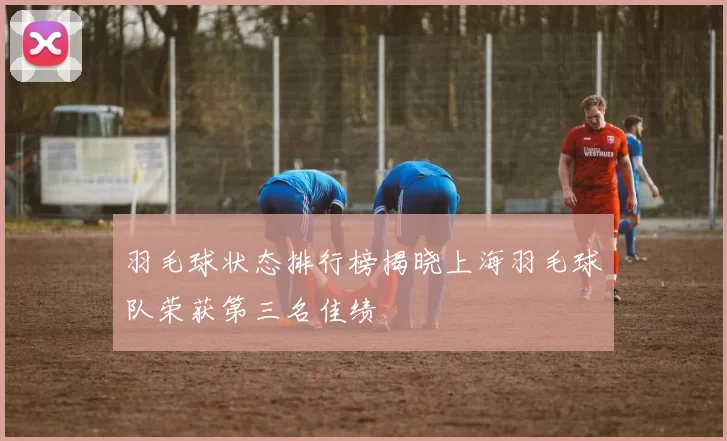 羽毛球状态排行榜揭晓上海羽毛球队荣获第三名佳绩