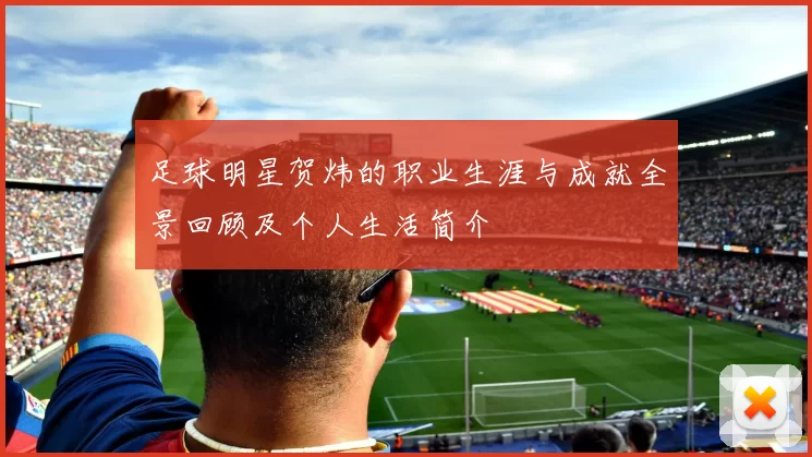 足球明星贺炜的职业生涯与成就全景回顾及个人生活简介