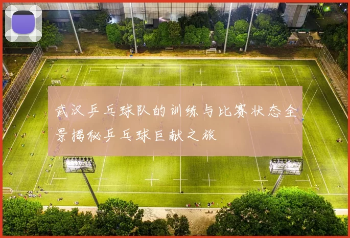 武汉乒乓球队的训练与比赛状态全景揭秘乒乓球巨献之旅