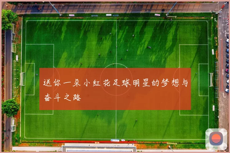 送你一朵小红花足球明星的梦想与奋斗之路