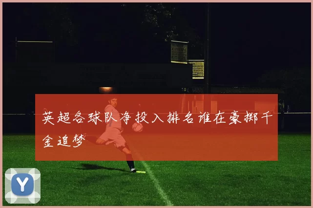 英超各球队净投入排名谁在豪掷千金追梦
