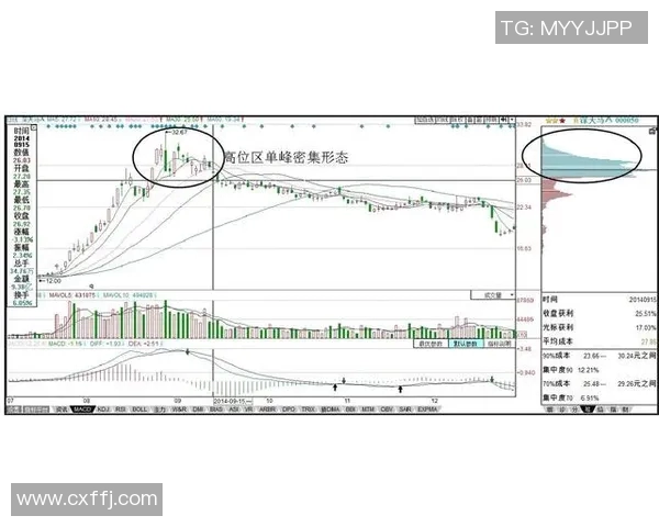 西甲联赛盘口走势分析与历史开盘规律归纳