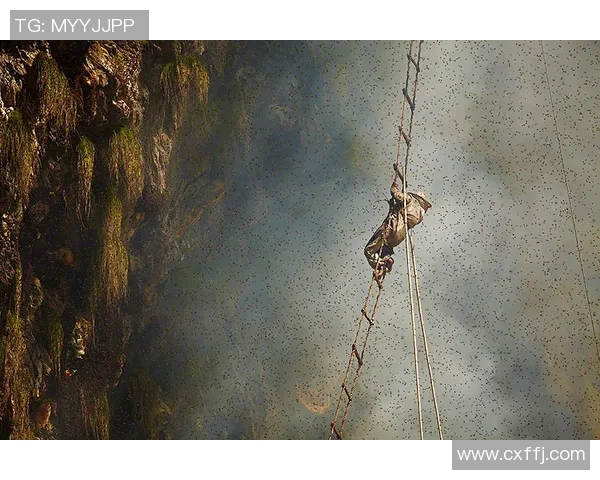 南京攀岩队个人能力提升之路探索与实践分析