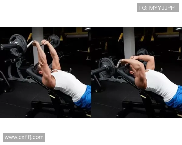 进口健身器材为什么越来越受欢迎